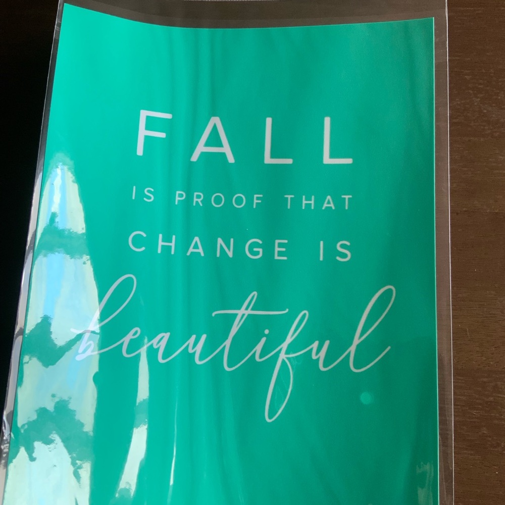 Fall is Proof That Change is Beautiful Transfer